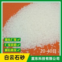 廠(chǎng)家供應大量天然白云石砂雪花白砂工藝品砂娛樂(lè )砂建筑裝飾砂白色