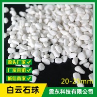 白色鵝卵石白云石球 白色石頭子 漢白玉石景觀(guān)裝飾園藝鋪面等用